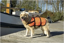 Beeztees Veiligheidsvest/Zwemvest - Hond - LG - 23-41 Kg