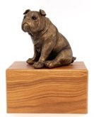 honden urnkistje met bronskleurig Engelse Bulldog beeldje