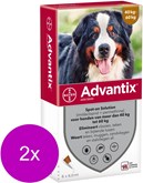 Advantix Spot On 600 6 ml - Anti vlooien en tekenmiddel - 2 x 6 pip 40-60 Kg
