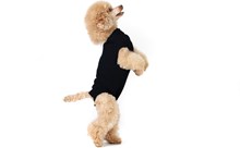 Suitical recovery suit hond zwart xs 40-45 cm