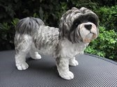 Hondenbeeld Shih Tzu staand grijs 38 cm