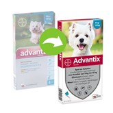 4 Pipetten x 1,0 ml AdvantixÂ® 100/500 Spot-on Solution voor honden