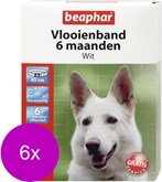 Beaphar Vlooienband 6 Mnd Hond 65 cm - Anti vlooienmiddel - 6 x Wit