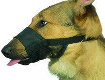 Beeztees Comfort Muilband - Hond - XXL - 23-33 cm
