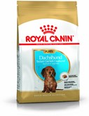 Royal Canin Dachshund Junior - Hondenvoer - 1,5 kg