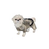 Honden zebra pakje