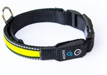 Tractive LED halsband voor hond SMALL (33 tot 45 cm omtrek)