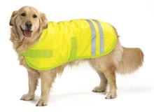 Beeztees hondenjas veiligheidsvest teddy reflect geel