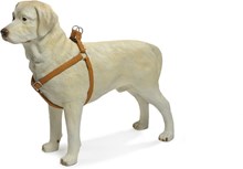 Beeztees - Borsttuig Hond - MacLeather - Bruin - S - 35-60 cm
