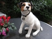 Hondenbeeld Jack Russell 34,5 cm