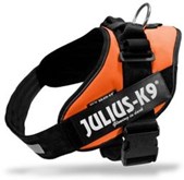 Julius K9 IDC Powertuig/Harnas - Mini-mini/40-53cm - XS - Oranje