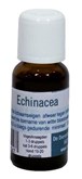 Dierendrogist echinacea