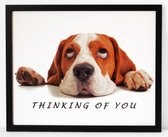 Hondenposter met tekst 3 poster in lijst zwart/dieren/funny