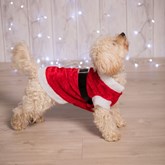Kerstkleding - Kerstman kostuum voor de hond