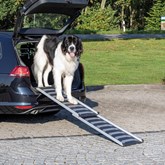 Trixie Telescoop-honden Loopplank Petwalk, 40 × 102–170 cm zwart/grijs max. 100kg