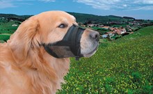 Nobby Muilkorf - Hond - Nylon - Maat 3 - 20 tot 27 cm