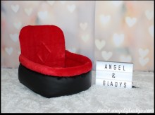 Autostoel voor honden Cosy car comfort Angel & Gladys zwart-rood 45x35x20/45cm