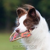 Major Dog Frisbee - Apporteerspeelgoed