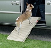 DogStep Fietskar HalfStep hondenloopplank 100 cm