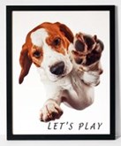 Hondenposter met tekst 2 dieren/lijst zwart/funny