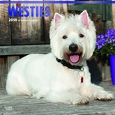 Witte terrier honden kalender 2018