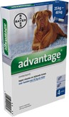 Bayer Advantage Hond 400 - Vanaf 25 kg - 4 Pipetten
